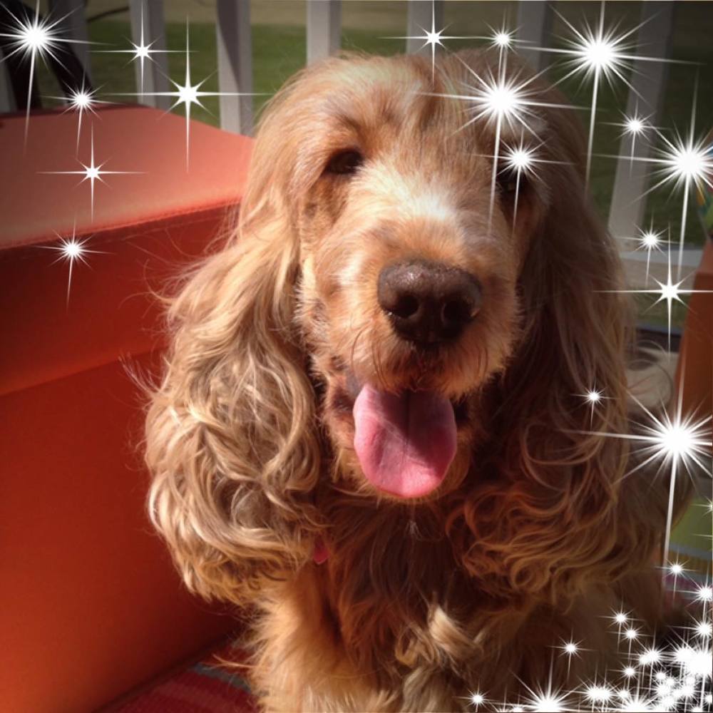 Meet your Posher, Christine